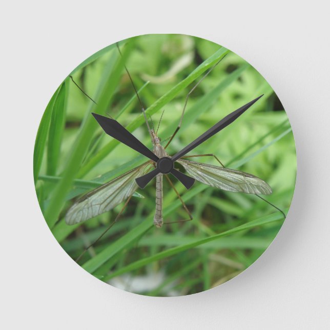 Crane Fly Wall Clock (Front)