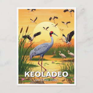 Crane in Keoladeo National Park India Travel Postcard