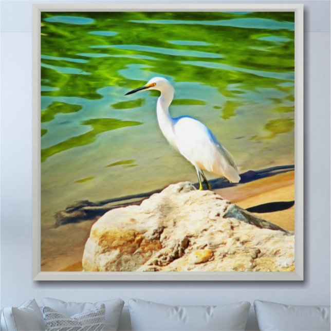 Crane On The Mismaloya River 0335 Art Print (Creator Uploaded)