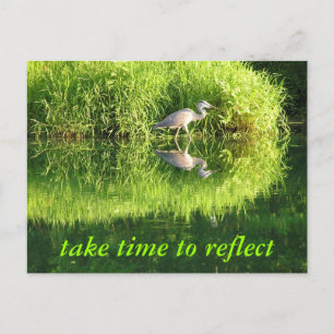 Crane Reflection Postcard