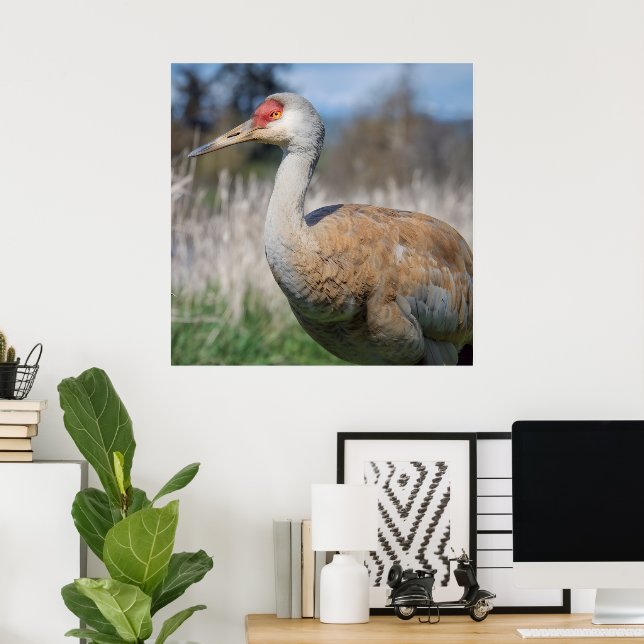 Crane View Poster (Home Office)