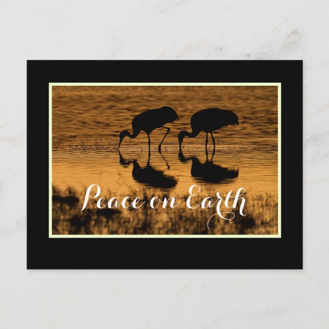 Cranes and Peace on Earth with border Postcard (Front)