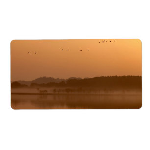 Cranes at sunrise