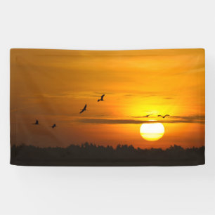 Cranes at sunrise banner