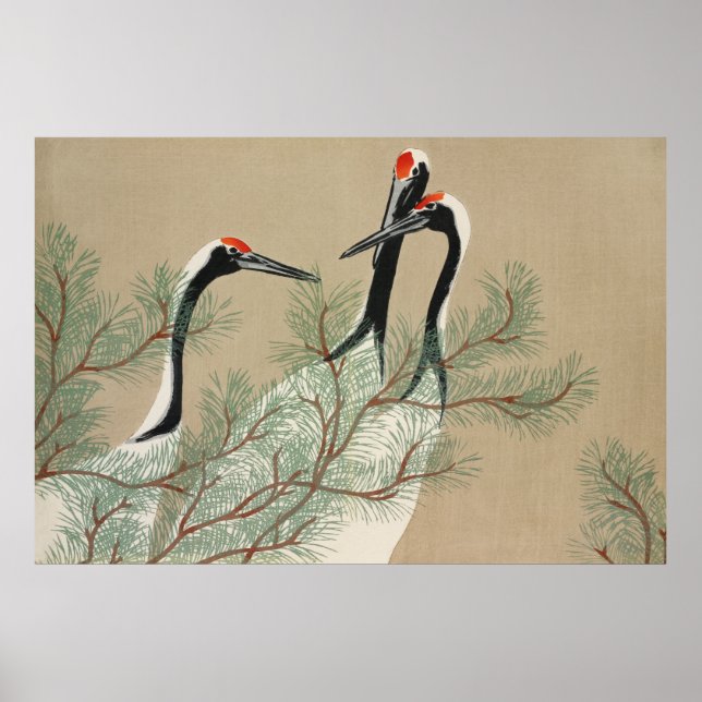 Cranes from Momoyogusa by Kamisaka Sekka (1909) Poster (Front)