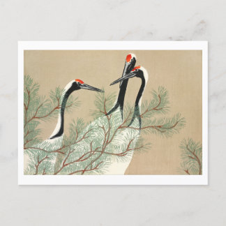 Cranes from Momoyogusa Postcard