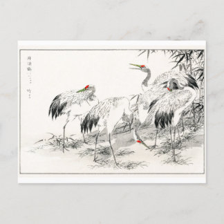 Cranes In Bamboo Forest Vintage Japanese Art Postcard