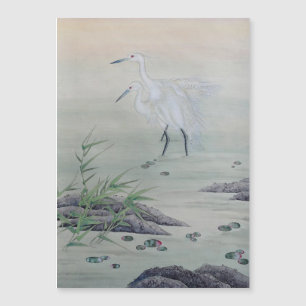 Cranes in Chinese River 