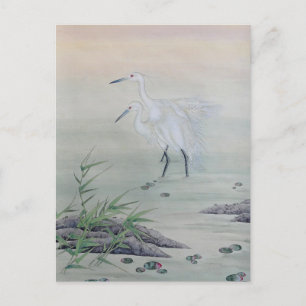 Cranes in Chinese River  Postcard
