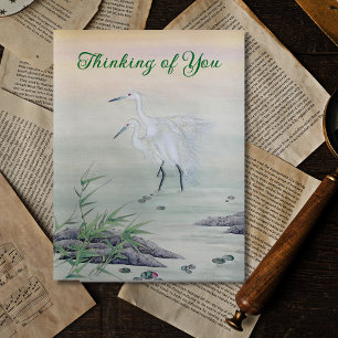Cranes in Chinese River  Postcard