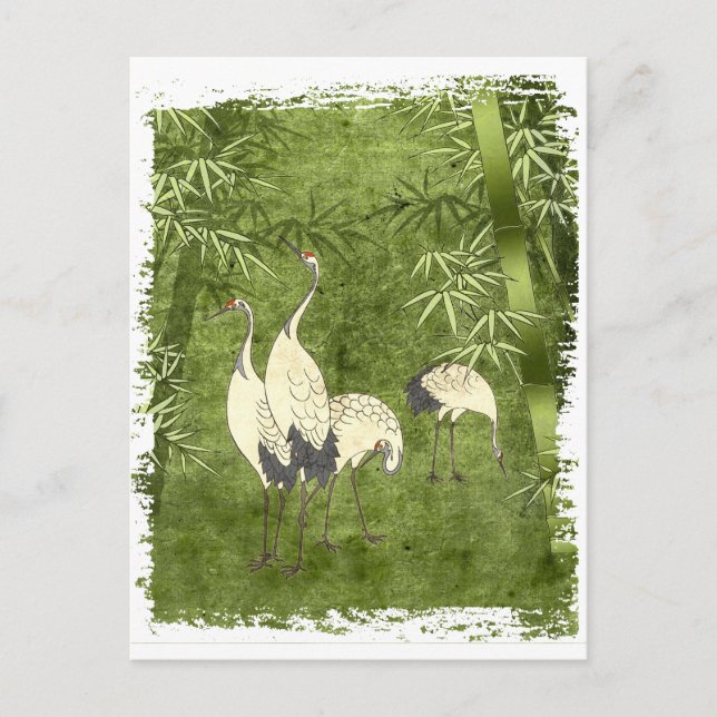 Cranes in the Bamboo Forest Postcard (Front)