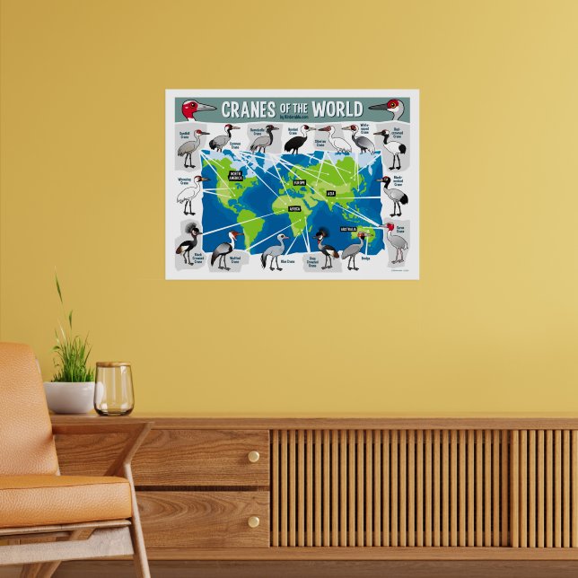 Cranes of the World Poster (Living Room 2)
