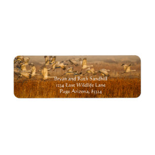 Cranes over golden field