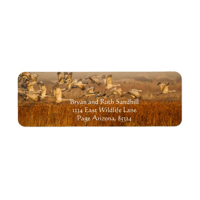 Cranes over golden field (Front)