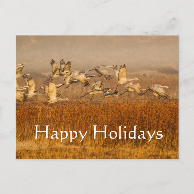 Cranes over golden field, Happy Holidays Holiday Postcard (Front)