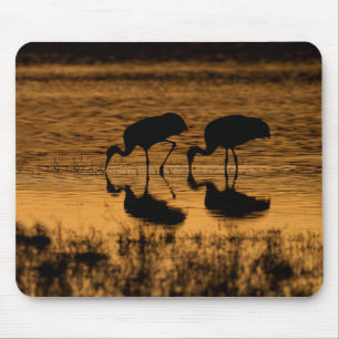 Cranes Silhouetted by the Sunset Mouse Mat