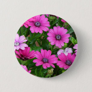 Cranesbill Geranium (Pink Flowers) Button