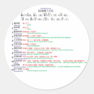 Cranial Nerves japanese 12 Classic Round Sticker