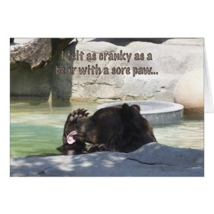 Cranky as a bear with a sore paw