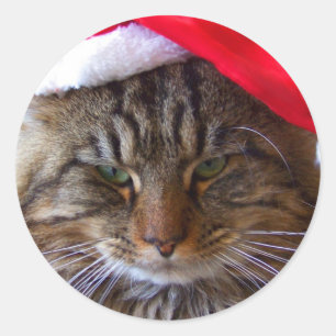 Cranky Christmas Cat Stickers
