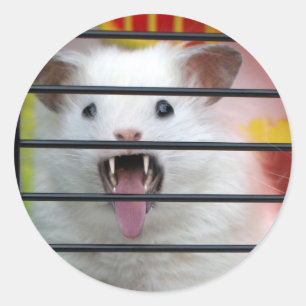Cranky Critter Classic Round Sticker