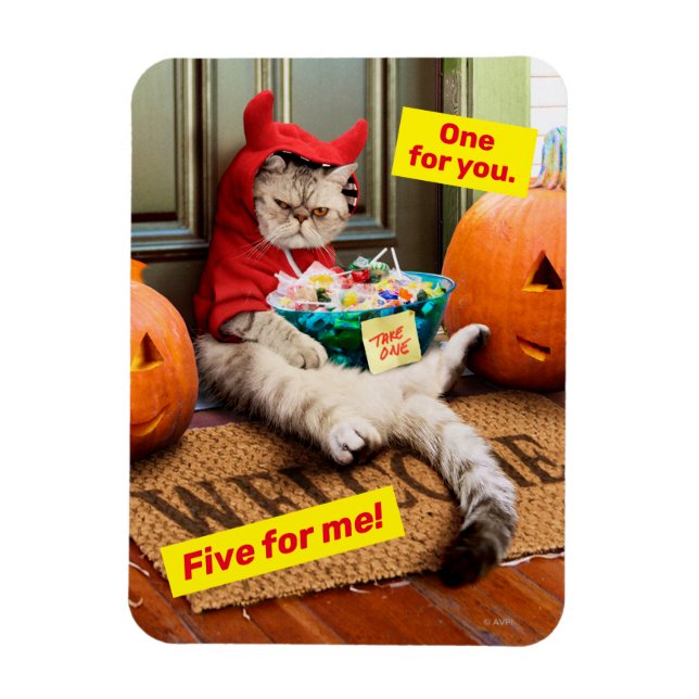 Cranky Devil Cat Magnet (Vertical)