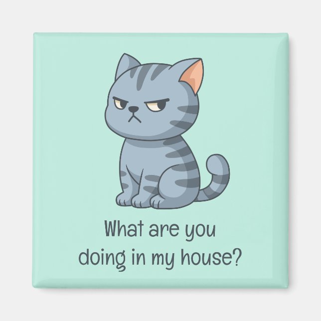 Cranky Grey Tabby Cat Funny Text Green Magnet (Front)