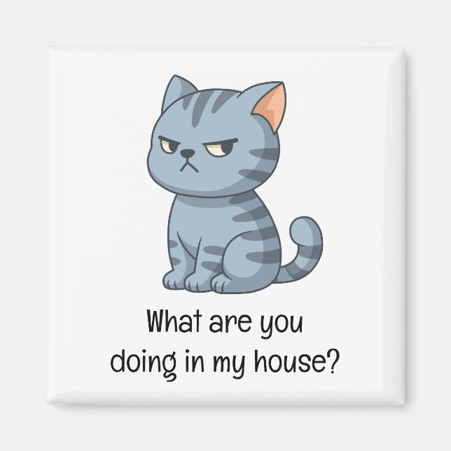 Cranky Grey Tabby Cat Funny Text Magnet (Front)