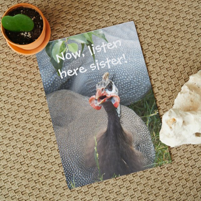 Cranky Guinea Fowl Funny Birthday Card (In Situ)