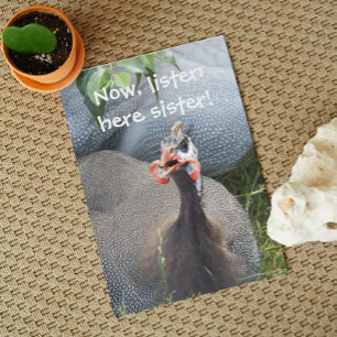 Cranky Guinea Fowl Photo Funny Birthday Card