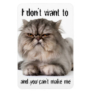 Cranky kitty flexible magnet, "I don't want to..." Magnet