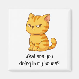 Cranky Orange Tabby Cat Funny Text Magnet