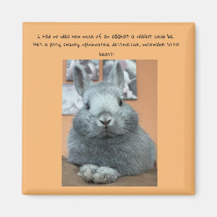 Cranky Rabbit Fridge Magnet