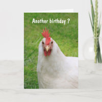 Cranky Rooster Birthday Card