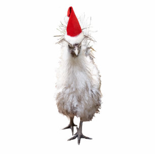 Cranky Silkie Bantam Chicken Santa Hat Christmas Standing Photo Sculpture