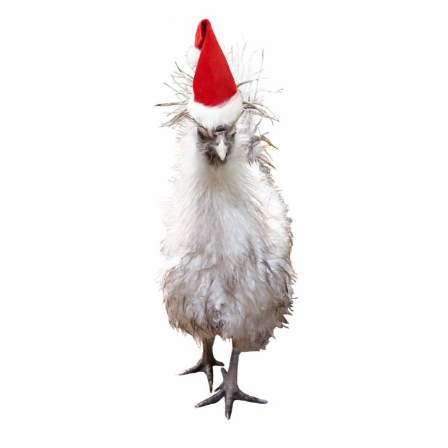 Cranky Silkie Bantam Chicken Santa Hat Christmas Standing Photo Sculpture (Front)