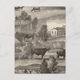 Cranmoor Farm, Toms River, NJ Postcard