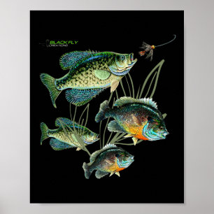 Crappie Bluegill Fishing Shirts Hoodies Black Fly Poster