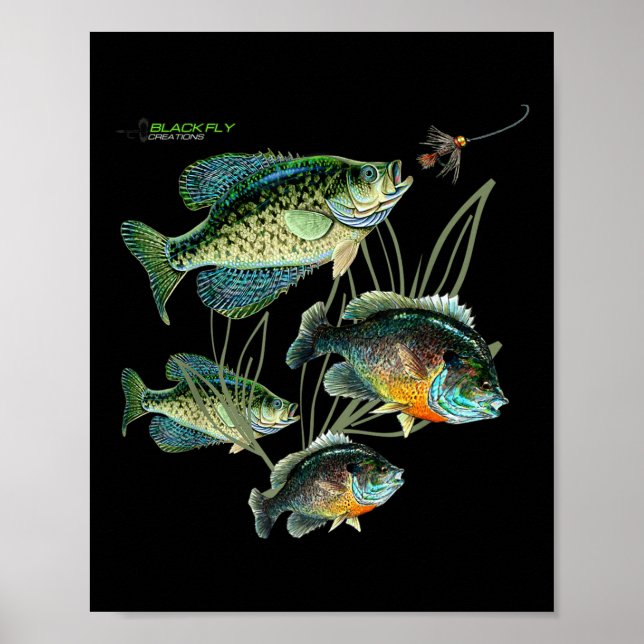 Crappie Bluegill Fishing Shirts Hoodies Black Fly  Poster (Front)