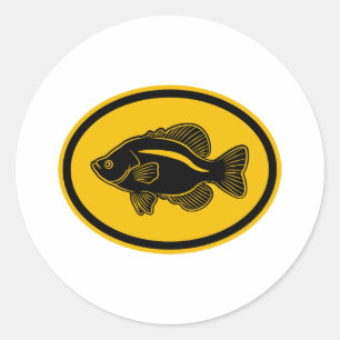 Crappie Fish Classic Round Sticker