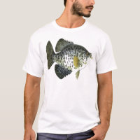 Crappie fishing
