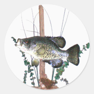 Crappie Mount Classic Round Sticker