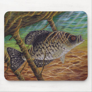 crappie mouse mat