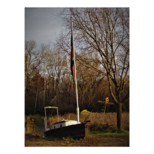 "Crashed Course" Photo Print