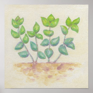 Crassula art print