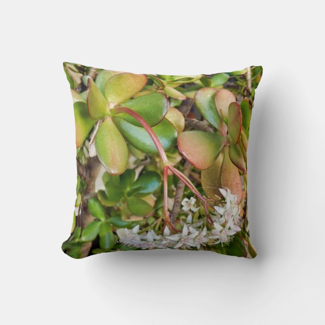 Crassula ovata Throw Cushion (Front)