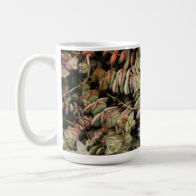 Crassula perforata coffee mug (Left)