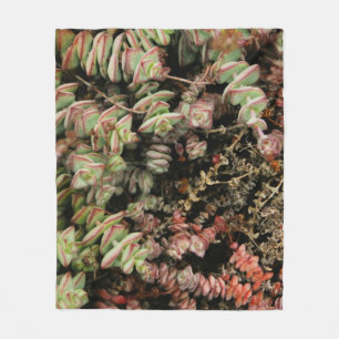 Crassula perforata fleece blanket