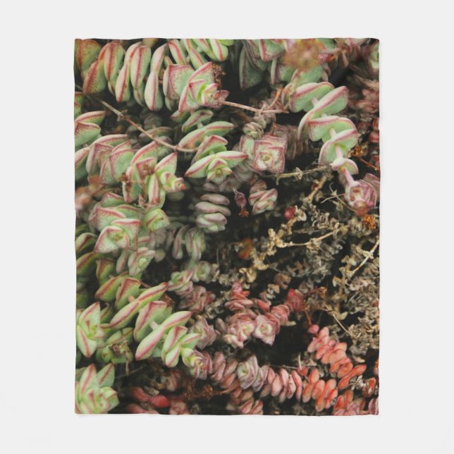 Crassula perforata fleece blanket (Front)