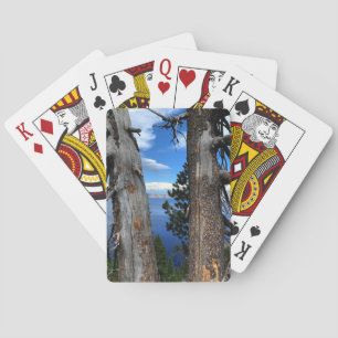 Crater Lake National Park Trees Playing Cards